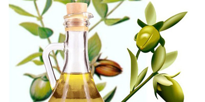 فواید روغن جوجوبا
