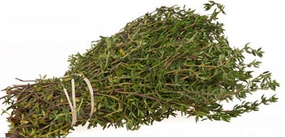 خواص کاکوتی,خاصیت کاکوتی,خواص درمانی کاکوتی