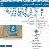 خواص دمنوش شاهتره نیوشا
