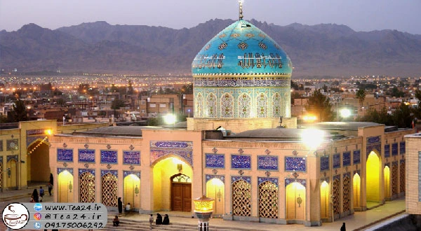 نمایندگی نیوشا در کاشمر