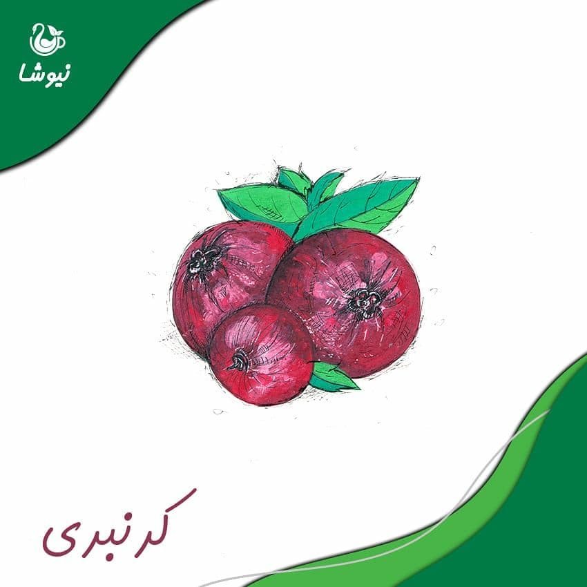 کرن بری نیوشا