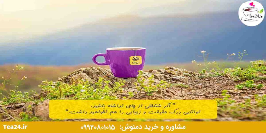 این تصویر شرکت نیوشا است